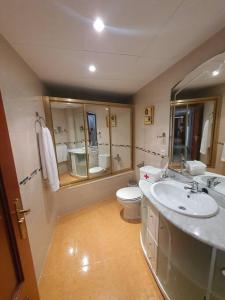 科尔多瓦Apartamento Ribera Real II的一间带水槽、卫生间和镜子的浴室