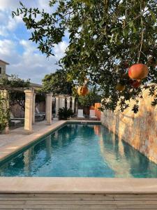阿尔盖达PETIT HOTEL ALGAIDA的庭院中间的游泳池