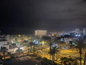美洲海滩Las Americas Ocean View El Dorado的棕榈树和建筑的夜城