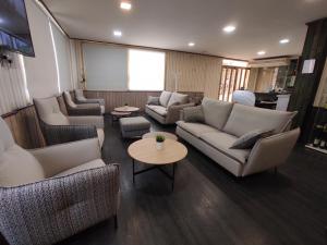 瓦德诺比斯Hotel Querol的带沙发、椅子和桌子的客厅