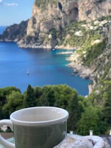 卡普里Roberhouse Tragara 37的咖啡杯坐在桌子上,享有海景