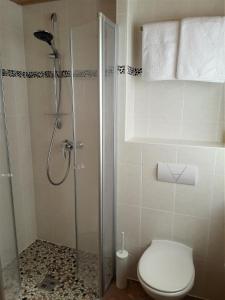 瓦尔高Haus Berglust Wallgau的带淋浴、卫生间和玻璃淋浴间的浴室