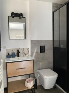 圣迪耶La Tuilerie Chambres d'Hôtes的一间带卫生间、水槽和镜子的浴室