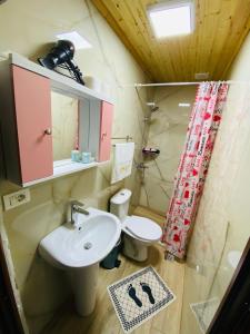 吉诺卡斯特"Mani Guest House"的一间带水槽和卫生间的浴室