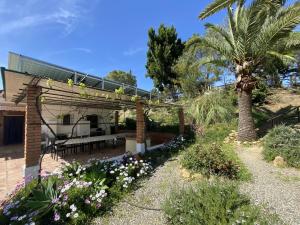 皮萨拉LAS PALMERAS的一个带凉棚和棕榈树的花园