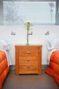 奥尔维拉维贡威亚威尔德拉谢拉度假屋的卧室里装有植物的木梳妆台