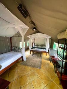 利文斯顿马兰巴河山林小屋的一间帐篷内带两张床的卧室