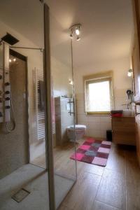 阿尔拉赫Kieslinger Hilde的一间带玻璃淋浴和卫生间的浴室
