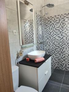 帕格Hostel Jadran的一间带水槽、卫生间和镜子的浴室