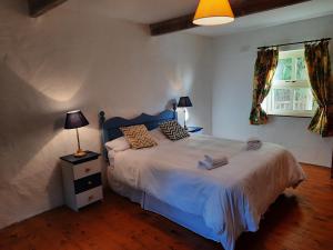 韦斯特波特Cheerful Cottage的一间卧室设有一张大床和一个窗户。