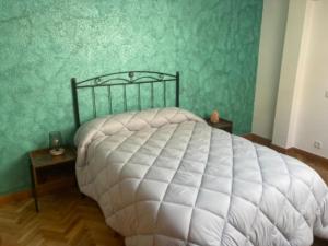 萨拉曼卡Dúplex CENTRICO LA RANITA SALMANTINA的一间卧室配有白色的床和绿色的墙壁