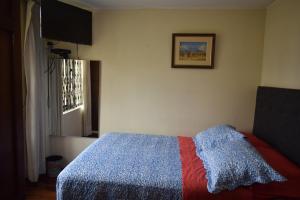 特鲁希略Hostal Donde Alberto的一间卧室配有一张带蓝色和红色毯子的床