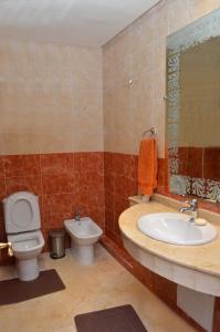 阿加迪尔Lovely Marina Flat的一间带水槽、卫生间和镜子的浴室
