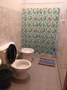 PayogastaAmancay的浴室设有卫生间和绿色淋浴帘。