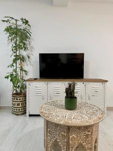 奥伦塞A Das Marías ESTUDIO的电视机前的桌子,两盆植物