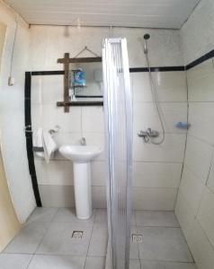 拉科罗尼亚Maridalba的带淋浴和盥洗盆的浴室