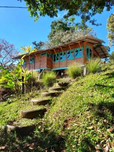 图里亚尔瓦Casa de Bambú的山丘上的房子,有楼梯通往