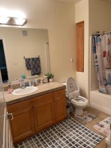 尔湾Resort like stay in a lovely room near UCI的一间带水槽、卫生间和镜子的浴室