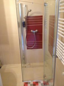 布达佩斯普拉坦公寓的浴室里设有玻璃门淋浴
