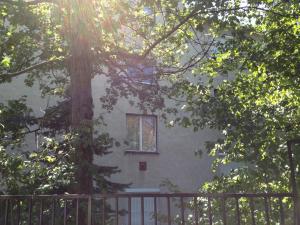 布达佩斯普拉坦公寓的树丛中带窗户的建筑