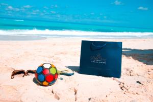 阿莱曼Retal View North Coast Aqua Park的沙滩上的足球和太阳镜,带包