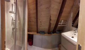 若西耶chalets montagnard的带淋浴和盥洗盆的浴室