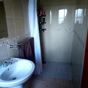韦斯特波特Ros na gCloch的一间带水槽和淋浴的浴室