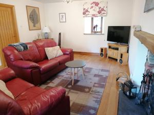 GardenstownSunnyside House的客厅配有红色皮革沙发和电视
