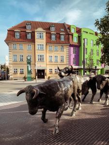 吕嫩泊斯鲁尔城市友好酒店的街道中间的牛雕像