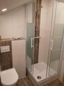 菲利普斯罗伊特Ferienwohnung - Haus Monika的浴室设有玻璃淋浴间和卫生间