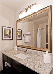奥斯汀奥斯汀机场假日酒店的一间带水槽和大镜子的浴室
