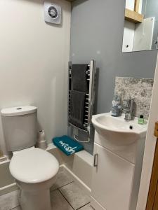 Little ClactonThe Lodge的白色的浴室设有卫生间和水槽。