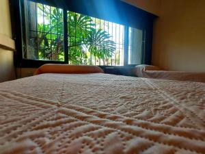 萨尔塔COYA HOSTEL的一间卧室设有一张床和一个美景窗户。