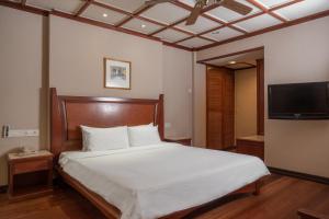 刁曼岛刁曼岛成功度假村的一间卧室配有一张床和一台平面电视