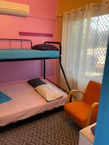 The Cozy Hostel - Motel客房内的一张或多张双层床