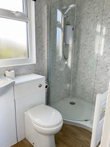 DownderryWhitsand Bay Tamar Suite的带淋浴、卫生间和盥洗盆的浴室