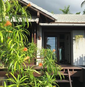 湄南海滩茉莉花和茶旅馆的前面有植物门廊的房子