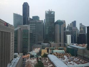 新加坡The Center of Singapore; China Town的享有大城市和高楼的景色