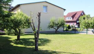 奥斯赛拜-屈隆斯博恩Ferienwohnung Zelk的房子前面的院子中的一棵树