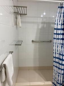 瓦尔迪维亚Villa del Rio Express的浴室设有蓝色和白色的淋浴帘