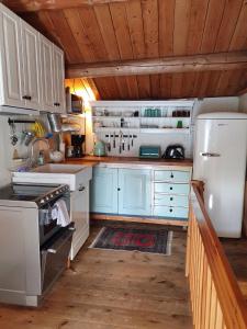 勒罗斯奥尔比戈登度假屋的厨房配有蓝色橱柜和白色冰箱