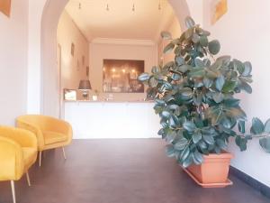 罗纳河畔的图尔农城堡酒店的椅子房间里大盆栽植物
