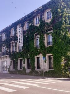 罗纳河畔的图尔农城堡酒店的一座常春藤生长在它的一侧的建筑