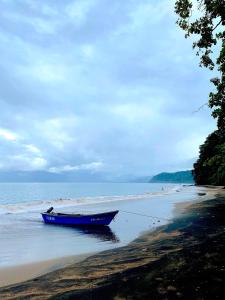 巴亚索拉诺Choibana Ecolodge的海滩边的蓝色小船