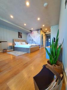 克卢日-纳波卡Eriss Studio Suite - OZone building apartment的大房间,配有床和盆栽植物
