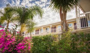 洛杉矶洛杉矶丽晶酒店的一座棕榈树和鲜花盛开的建筑