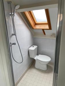 滨海贝亨zilvermeeuw的一间带卫生间和淋浴的小浴室