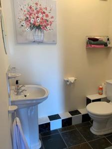 卡洛Cut Limestone Apartment Riverside Lodge的一间带水槽和卫生间的浴室