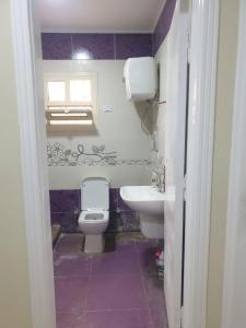 十月六日城سكن للذكور فقط - Sakan Male Only的一间带卫生间和水槽的浴室