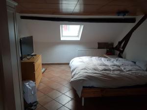 阿尔泽特河畔埃施Van Helsing的一间卧室配有一张床和一台电视